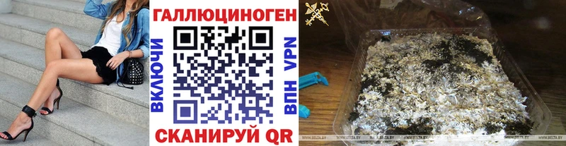 гидра ТОР  купить   Лениногорск  Псилоцибиновые грибы мицелий 