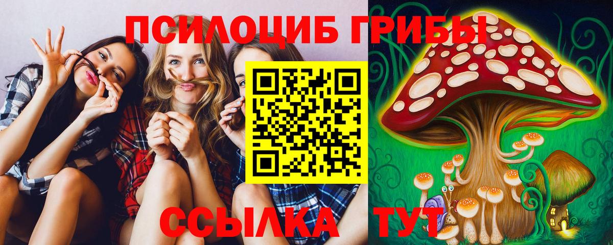 Галлюциногенные грибы мицелий  Галлюциногенные грибы мицелий  Лениногорск  Вход с VPN 